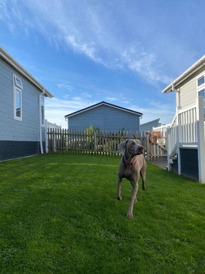Croyde Bay Hotel Or Self Catering Exteriör bild